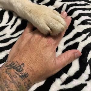 Meet your Posher, Lee